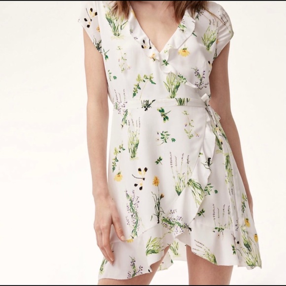 Aritzia Dresses & Skirts - Sunday Best Savoy Dress